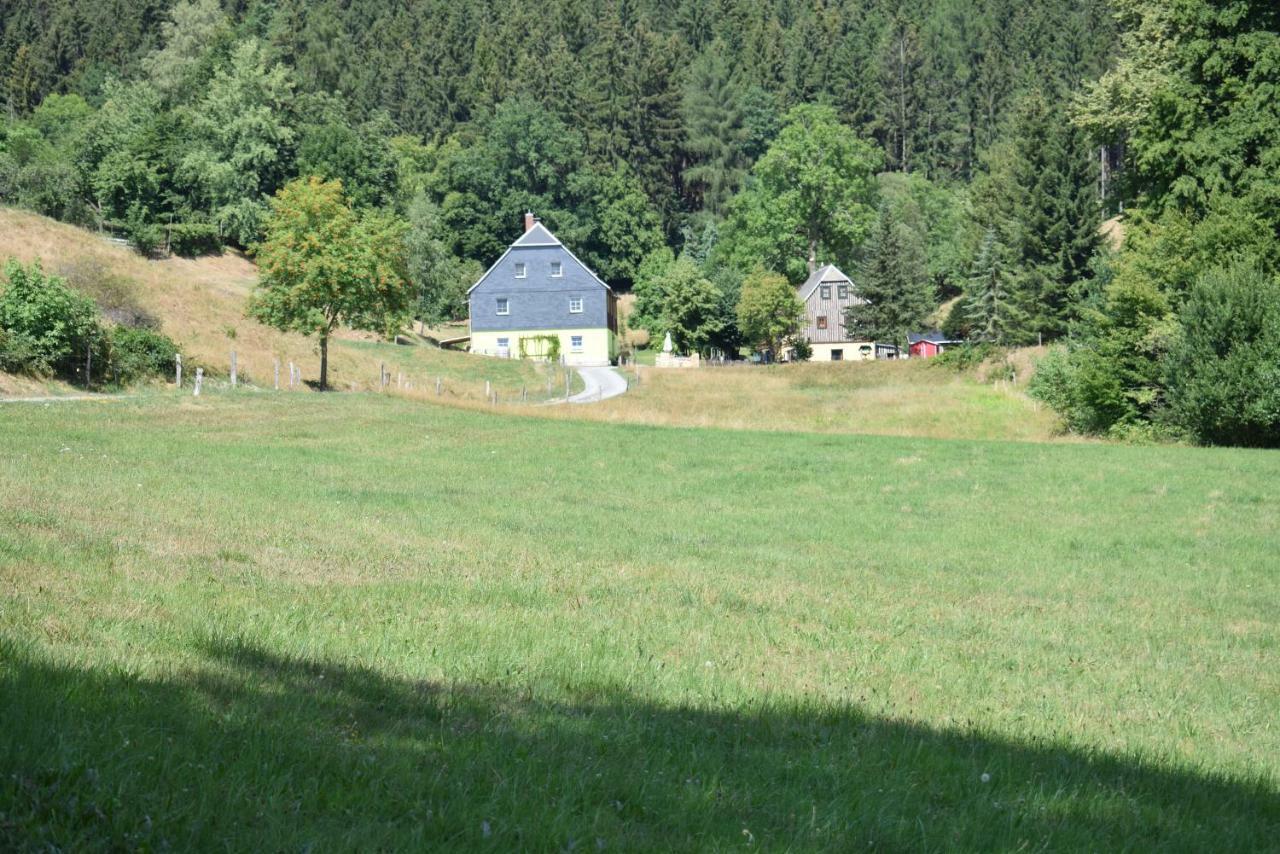 Ferienwohnung Waldmuehle Saupsdorf Eksteriør billede